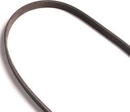 WXQP 11782 - Courroie trapézoïdale à nervures droxauto.com