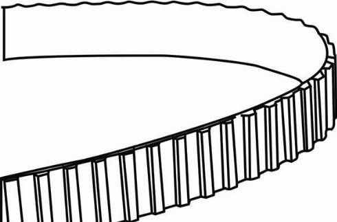 WXQP 310121 - Courroie de distribution droxauto.com