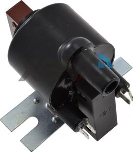 XEVO XIG5819 - Bobine d'allumage droxauto.com