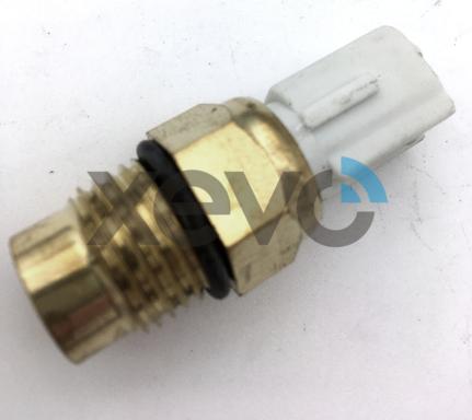 XEVO XTS7977 - Interrupteur de température, ventilateur de radiateur droxauto.com