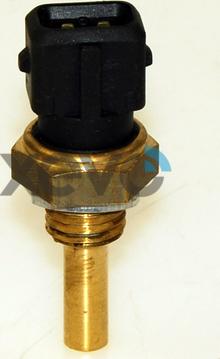 XEVO XTS7807 - Sonde de température, liquide de refroidissement droxauto.com