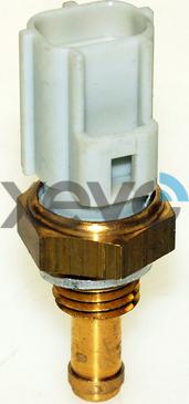 XEVO XTS7741 - Sonde de température, liquide de refroidissement droxauto.com