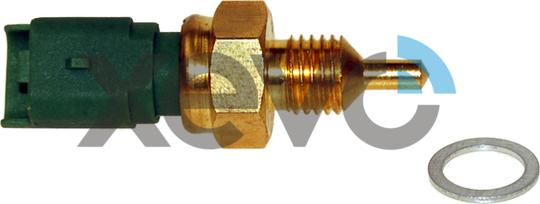 XEVO XTS7704 - Sonde de température, liquide de refroidissement droxauto.com