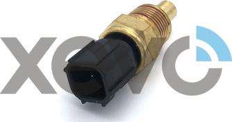 XEVO XTS7736 - Sonde de température, liquide de refroidissement droxauto.com