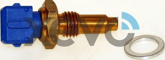XEVO XTS7773 - Sonde de température, liquide de refroidissement droxauto.com