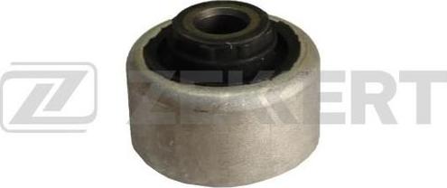 Zekkert GM-5174 - Suspension, bras de liaison droxauto.com