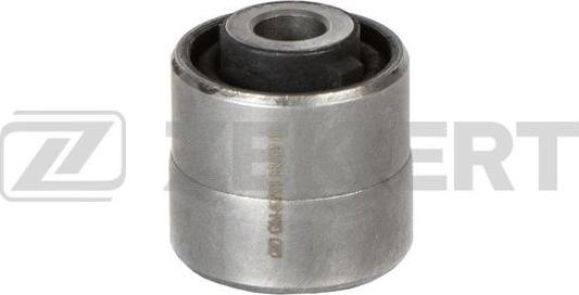 Zekkert GM-6753 - Suspension, bras de liaison droxauto.com