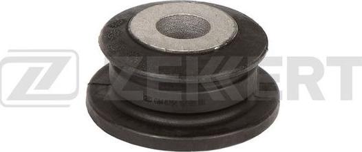 Zekkert GM-6764 - Suspension, bras de liaison droxauto.com